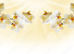 Samolepka flie 100 x 73, 72852358 - Beautiful white orchid
