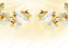 Samolepka flie 200 x 144, 72852358 - Beautiful white orchid