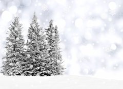 Samolepka flie 100 x 73, 73206614 - Snowy trees with twinkling silver background and snowflakes