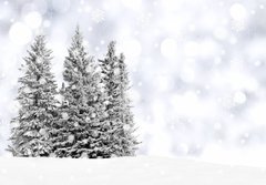 Fototapeta papr 184 x 128, 73206614 - Snowy trees with twinkling silver background and snowflakes