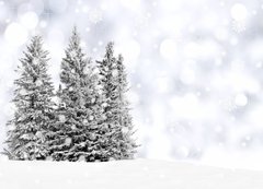 Samolepka flie 200 x 144, 73206614 - Snowy trees with twinkling silver background and snowflakes