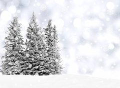 Fototapeta papr 360 x 266, 73206614 - Snowy trees with twinkling silver background and snowflakes