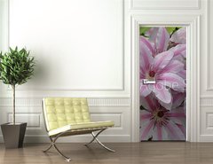 Samolepka na dvee flie 90 x 220  clematis, 90 x 220 cm