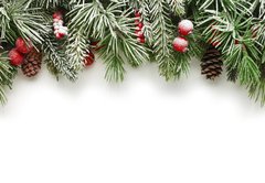 Fototapeta174 x 120  Christmas tree branches background, 174 x 120 cm