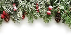 Fototapeta240 x 174  Christmas tree branches background, 240 x 174 cm