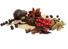 Fototapeta pltno 240 x 174, 73902901 - Spices isolated on white background - Koen izolovanch na blm pozad