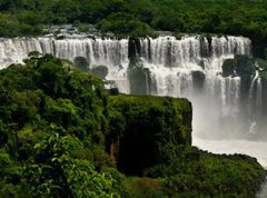 Fototapeta vliesov 270 x 200, 73971439 - Iguazu falls - Iguazu pad