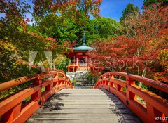 Fototapeta100 x 73  Daigoji Temple in Autumn, Kyoto, Japan, 100 x 73 cm