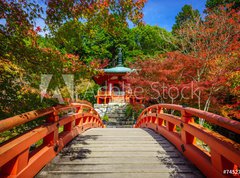 Samolepka flie 270 x 200, 74527745 - Daigoji Temple in Autumn, Kyoto, Japan - Chrm Daigoji na podzim, Kyoto, Japonsko