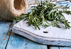 Samolepka flie 145 x 100, 74638924 - Rosemary
