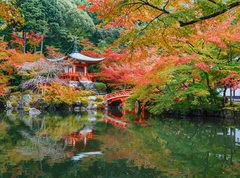 Fototapeta270 x 200  Daigoji Temple in Kyoto, 270 x 200 cm