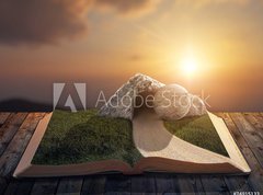 Samolepka flie 270 x 200  Empty grave, 270 x 200 cm