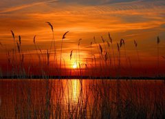 Fototapeta vliesov 200 x 144, 7509903 - Sunset - Zpad slunce