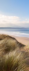 Samolepka na dvee flie 90 x 220, 75128584 - Sand Dunes and Woolacombe Beach