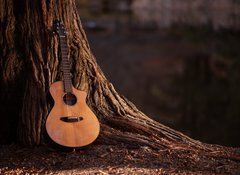 Samolepka flie 100 x 73  Wooden Acoustic Guitar, 100 x 73 cm