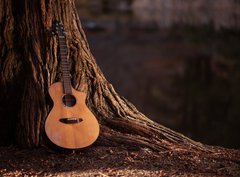 Fototapeta330 x 244  Wooden Acoustic Guitar, 330 x 244 cm