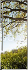 Samolepka na lednici flie 80 x 200, 75811470 - Oak tree