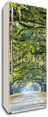 Samolepka na lednici flie 80 x 200, 76209403 - Country Road Lined with Oaks in Savannah, Georgia