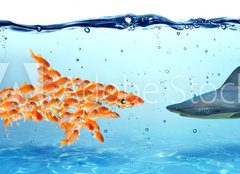 Fototapeta pltno 240 x 174, 76210235 - Unity is strength - teamwork concept - V jednot je sla
