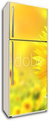 Samolepka na lednici flie 80 x 200, 76362209 - Sunflowers