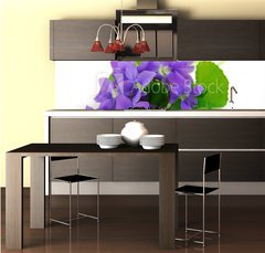 Fototapeta do kuchyn flie 260 x 60, 764797 - violets on white background - fialky na blm pozad