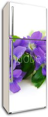 Samolepka na lednici flie 80 x 200, 764797 - violets on white background - fialky na blm pozad