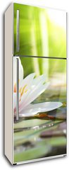 Samolepka na lednici flie 80 x 200, 76650282 - lotus flower