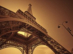 Samolepka flie 270 x 200, 7674232 - Paris