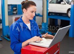 Samolepka flie 270 x 200  Mechanic working on a laptop, 270 x 200 cm