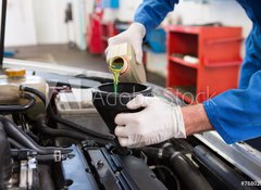 Fototapeta100 x 73  Mechanic pouring oil into car, 100 x 73 cm