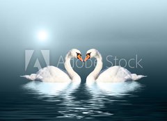 Fototapeta pltno 160 x 116, 76927393 - Paar Schwne - Pr labut