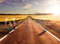 Fototapeta pltno 330 x 244, 77088683 - Aventuras y viajes por carretera.Carretera y campos