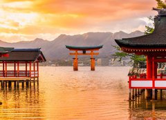 Fototapeta papr 160 x 116, 77248039 - Miyajima Torii gate, Japan.