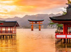 Fototapeta papír 360 x 266, 77248039 - Miyajima Torii gate, Japan. - Brána Miyajima Torii, Japonsko.
