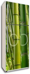 Samolepka na lednici fólie 80 x 200, 77716468 - Dense Bamboo Jungle - Hustá bambusová džungle