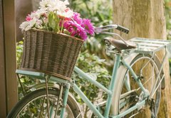 Fototapeta174 x 120  Vintage bicycle with flowers in basket, 174 x 120 cm