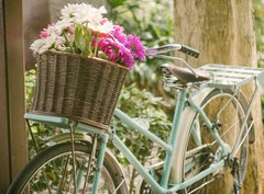 Fototapeta pltno 330 x 244, 77974542 - Vintage bicycle with flowers in basket - Vintage kolo s kvtinami v koku