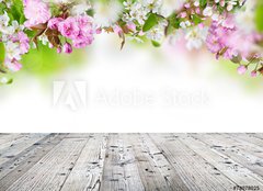 Fototapeta160 x 116  Spring blossoms background, 160 x 116 cm