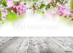 Fototapeta360 x 266  Spring blossoms background, 360 x 266 cm
