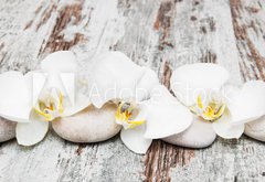 Samolepka fólie 145 x 100, 78194063 - beautiful orchid with stones - krásná orchidej s kameny