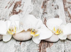 Fototapeta pltno 240 x 174, 78194063 - beautiful orchid with stones