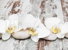 Samolepka flie 270 x 200, 78194063 - beautiful orchid with stones