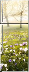 Samolepka na lednici flie 80 x 200, 78313786 - abstract sunny beautiful Spring background