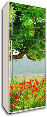 Samolepka na lednici flie 80 x 200, 7853282 - Poppy - Poppy pole a velk zelen strom