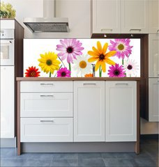 Fototapeta do kuchyn flie 180 x 60, 7866722 - Summer daisies - Letn sedmikrsky