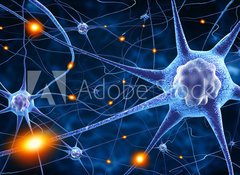 Samolepka flie 100 x 73  nerve cells, 100 x 73 cm