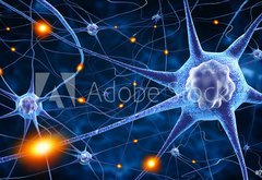 Fototapeta174 x 120  nerve cells, 174 x 120 cm