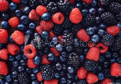 Fototapeta174 x 120  blueberies, raspberries and black berries shot top down, 174 x 120 cm