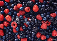 Fototapeta papr 254 x 184, 78821273 - blueberies, raspberries and black berries shot top down - blueberies, maliny a ern bobule zastelen shora dol