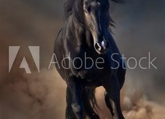 Samolepka flie 200 x 144, 78859419 - Beautiful black stallion run in desert dust against sunset sky